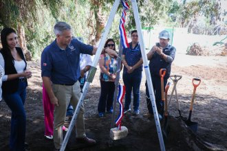 WhatsApp Image 2026-04-02 at 13.06.43.jpeg